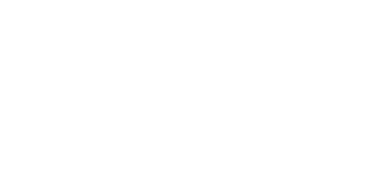 Nomad Zero